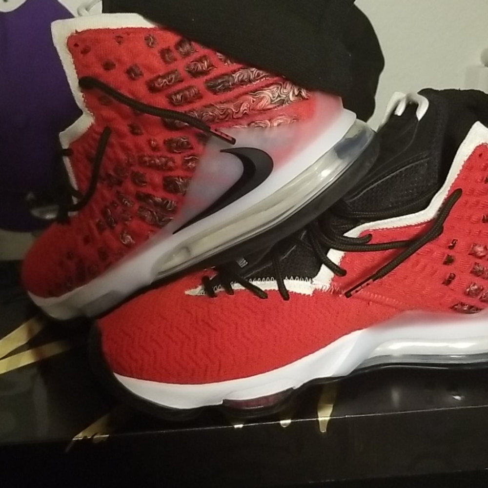 Lebron 17s